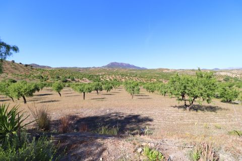 Landejendom i Velez-Rubio, Almeria, Velez-Rubio - € 170.000 | Ref: 3054-CH - foto 33